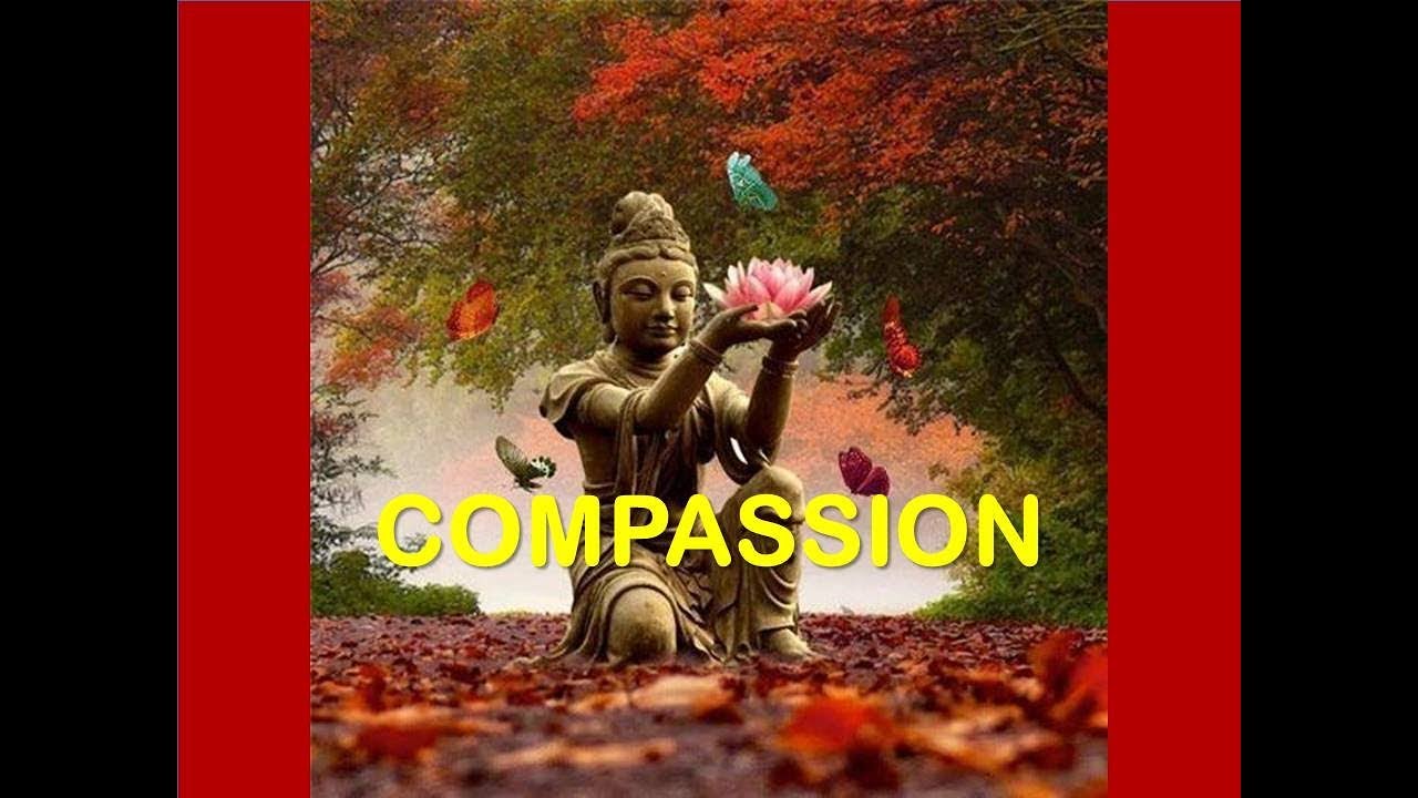 WHAT IS KARUNA (COMPASSION) - BHANTE PUNNAJI