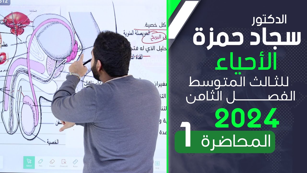 احياء الثالث متوسط 2024/ الفصل الثامن/ المحاضرة 1 / الجهاز التناسلي الذكري والانثوي