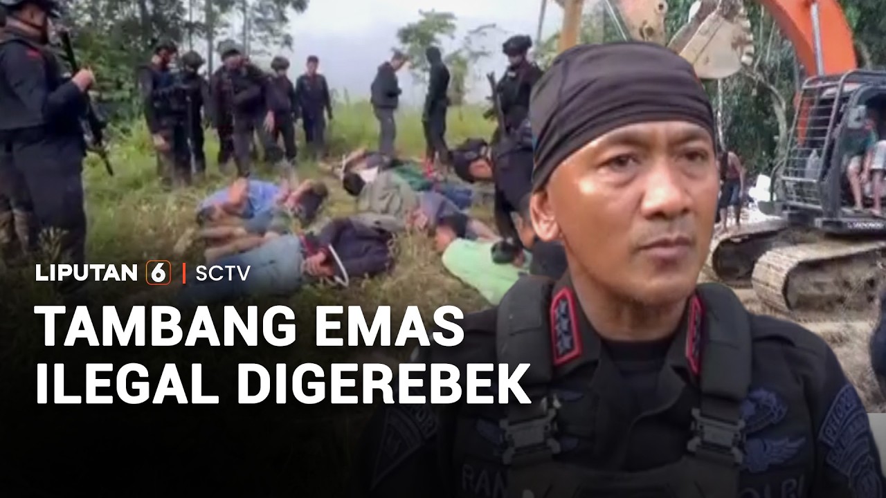 Polisi Gerebek Tambang Emas Ilegal di Kawasan Hutan | Liputan 6