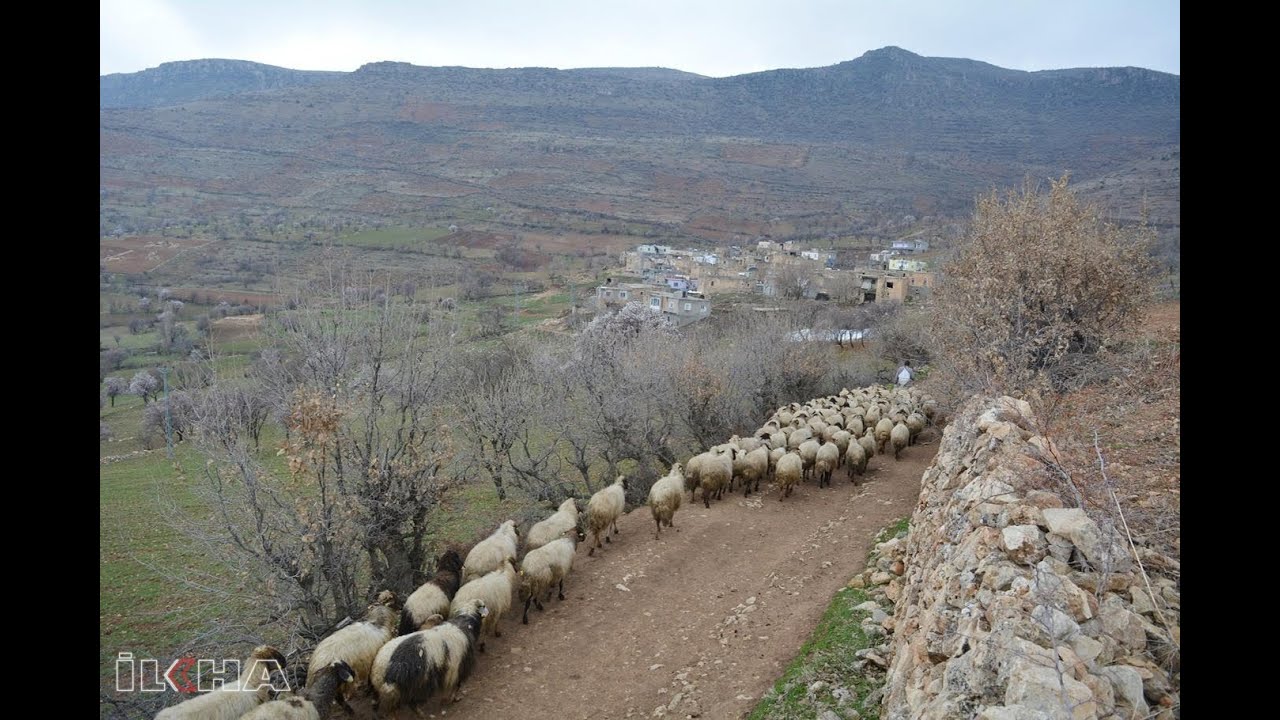 Bademleriyle meşhur tarihi bir köy  Çiçekli