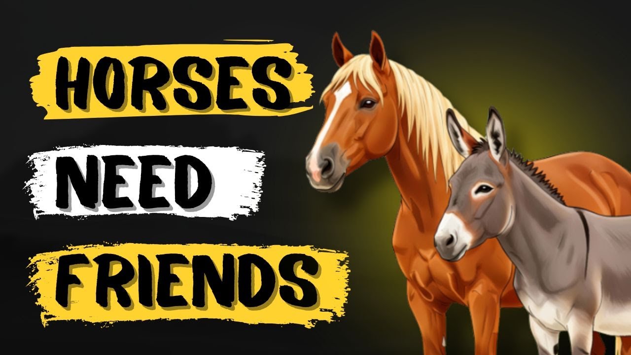 Why Horses Don’t Care What Species Their Friends Are