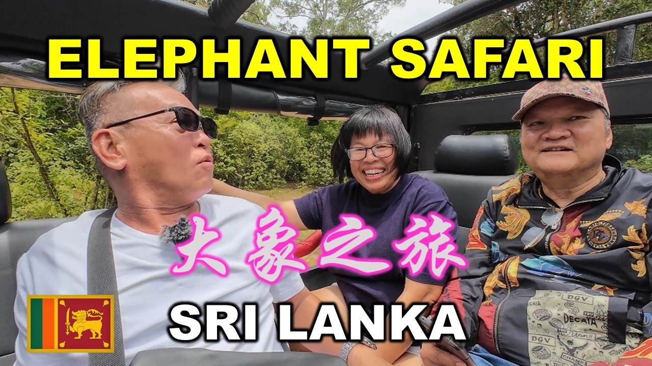 Elephant Safari From Colombo | 从斯里兰卡科伦坡出发的大象之旅 | MINNERIYA NATIONAL PARK | SRI LANKA