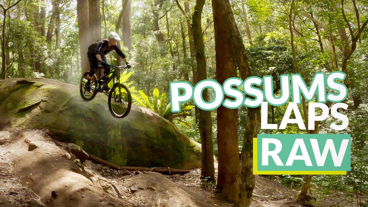First Possums MTB session in years!