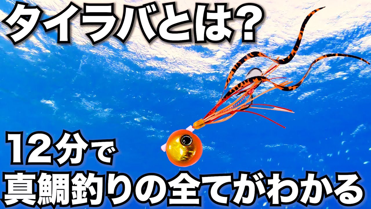 保存版タイラバとは？12分で真鯛釣りの基本まとめ！真鯛の釣り方と生態の超入門！