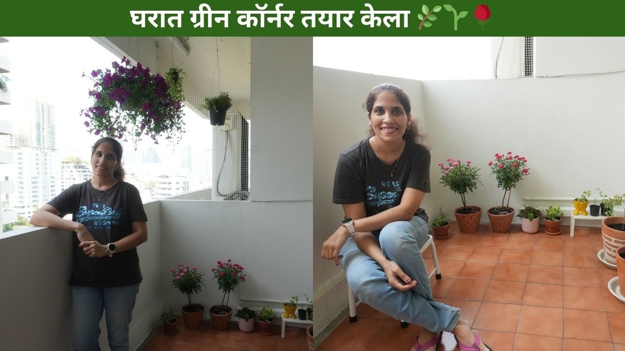 घरात ग्रीन कॉर्नर तयार केला 🌿 🌱 || प्लांट शॉपिंग ते Potting || कमी झाडांपासून सुरुवात 🌿 🌹