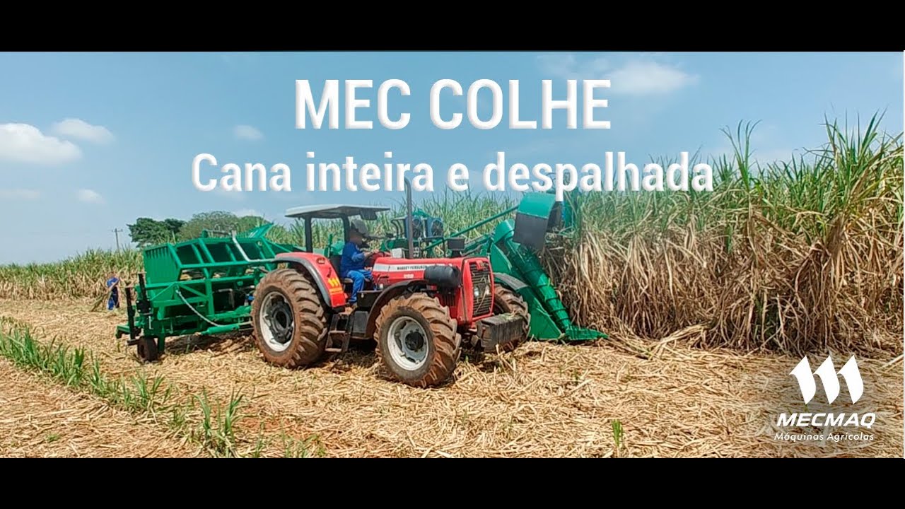 Mec Colhe - Corte de cana inteira e despalhada
