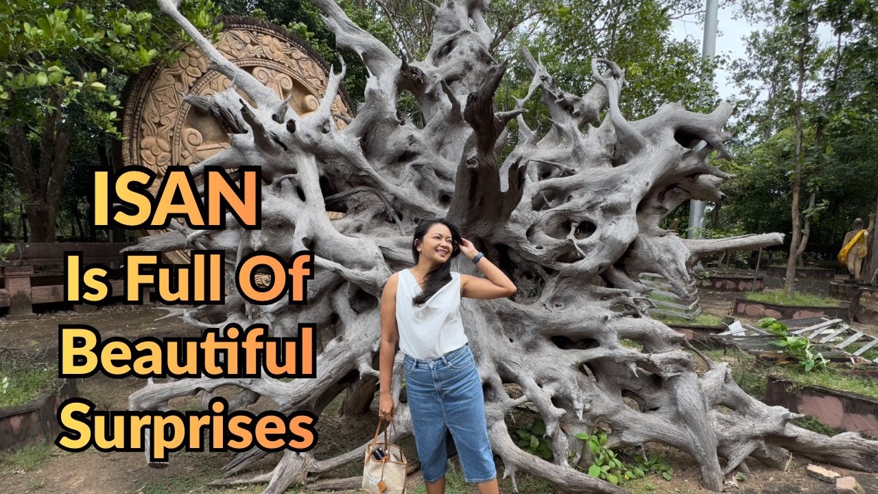 Храмы, овцы, извилистые дороги по пути в Накхонпханом в Исане, Таиланд. Весёлое путешествие с Тик...