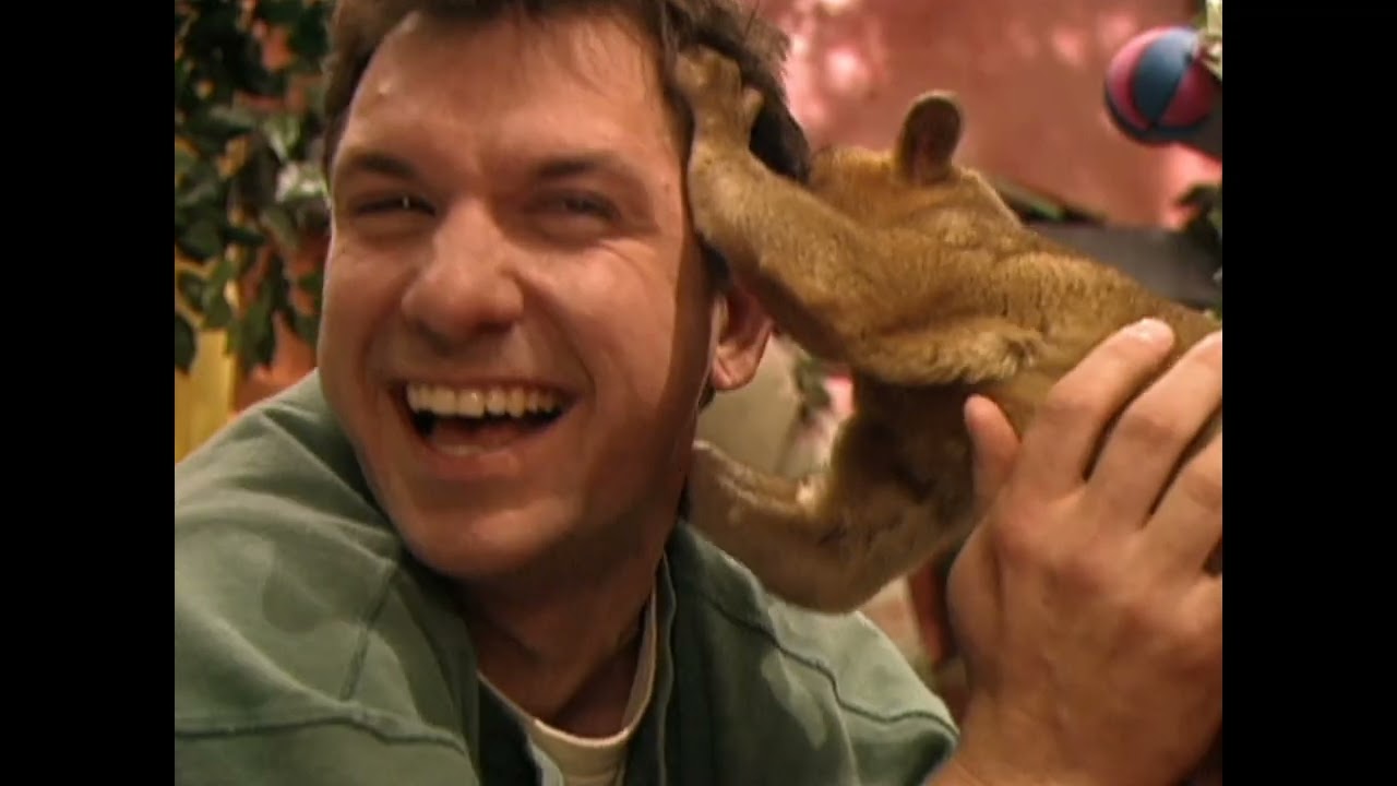 Zoboomafoo - Hail to tails | Best Shows for Kids | WildBrain Zigzag