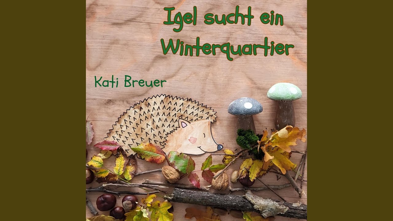 Igel sucht ein Winterquartier