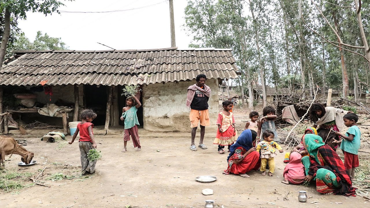 Typical Nepali Village Lifestyle In Tarai Region || Traditional Way Of Life || RURAL NEPAL LIFE