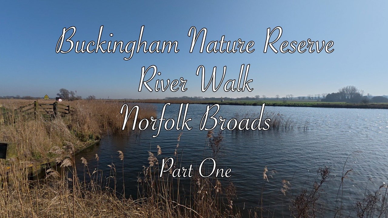 Part One | Peaceful River Walk at Buckingham Marsh | Norfolk Broads Nature & Birdsong