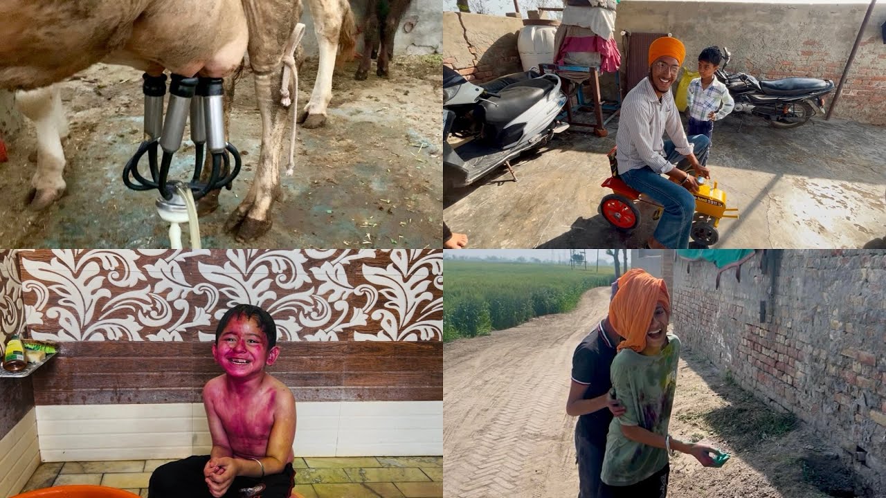 ਹੋਲੀ ਦੀਆਂ ਮੁਬਾਰਕਾਂ // working day // dhillon brothers