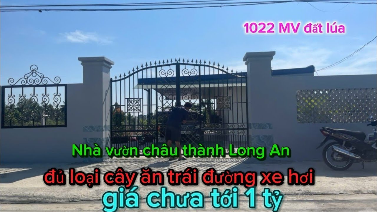 Tập 617: Nhà vườn châu thành Long An 1022mv đất lúa đường xe hơi dưới 1 tỷ nhiều cây ăn trái 