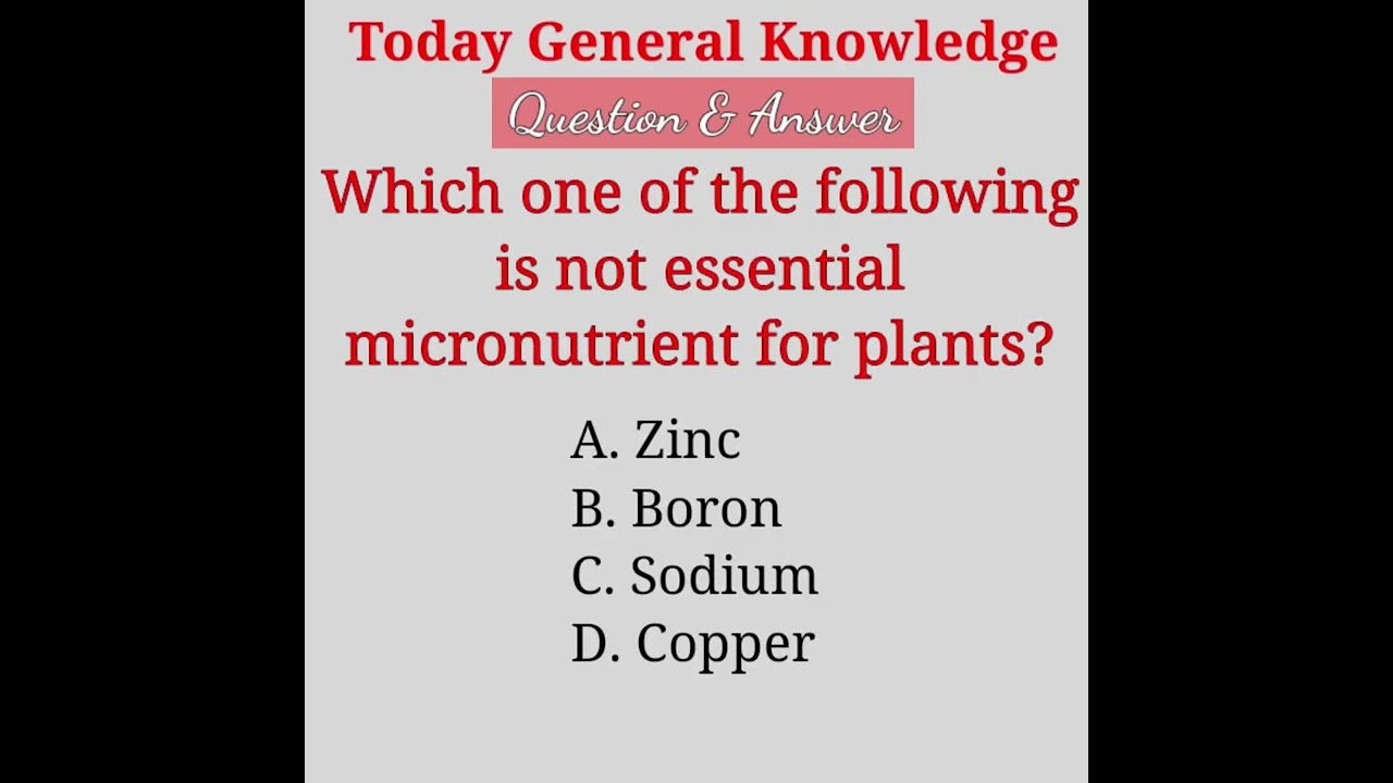 GK Short | Essential Micronutrients for Plant #shorts #plants  #nutrients