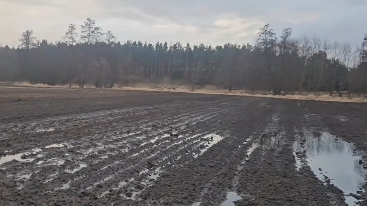 Jak sytuacja u mnie ?
