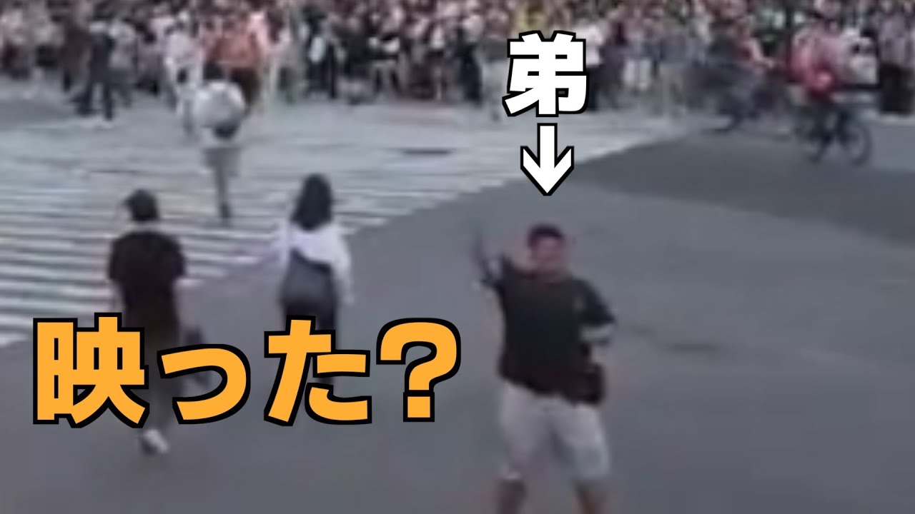 【#22】渋谷スクランブル交差点のライブではしゃぐ男【フィットボクシング初音ミク ダイエット配信切り抜き】