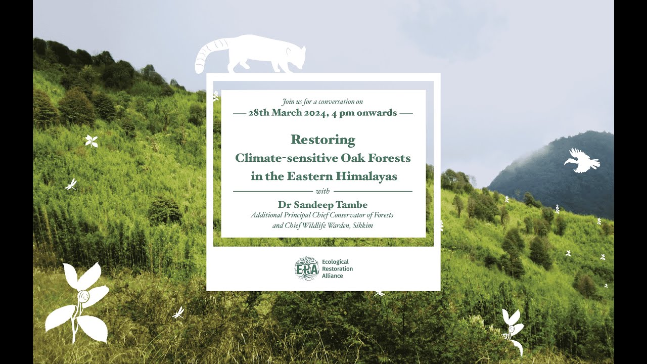 [ERA Webinar] Restoring Climate Sensitive Oak Forests in the Eastern Himalayas