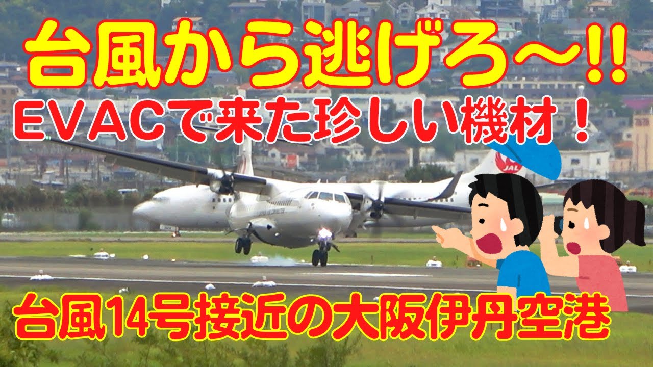 【大阪伊丹空港】台風14号接近　逆ランに紛れてやってきた珍しい機材