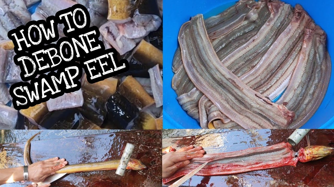 HOW TO DEBONE SWAMP EEL | kiwet| igat | yellow rice eel # bonelesseel