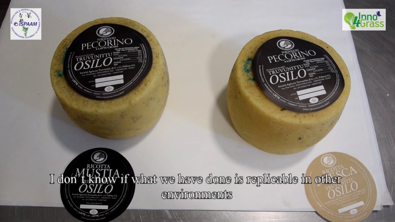 Europe's most innovative grassland farmers - Italy