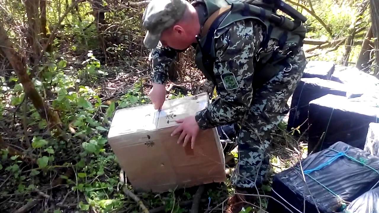 Через Західний Буг на Волині прикордонники завадили контрабанді 20 тисяч пачок сигарет