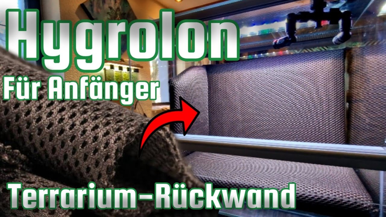 Hygrolon-Terrarium für Anfänger / Rückwandbau - Beregnung & Abflusssystem