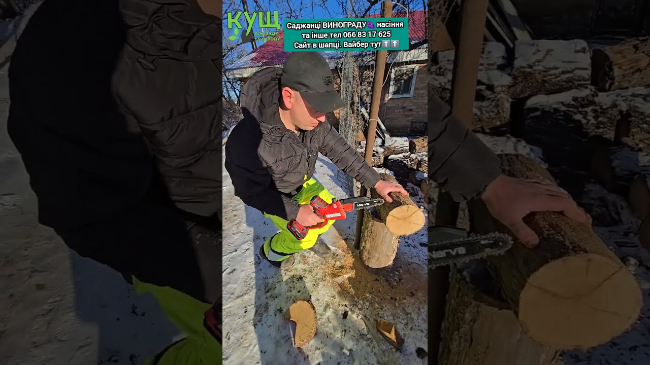 Знайшли ДЕШЕВУ найкращу пилку💪 #кущ #0668317625 #панянка75а #полтава