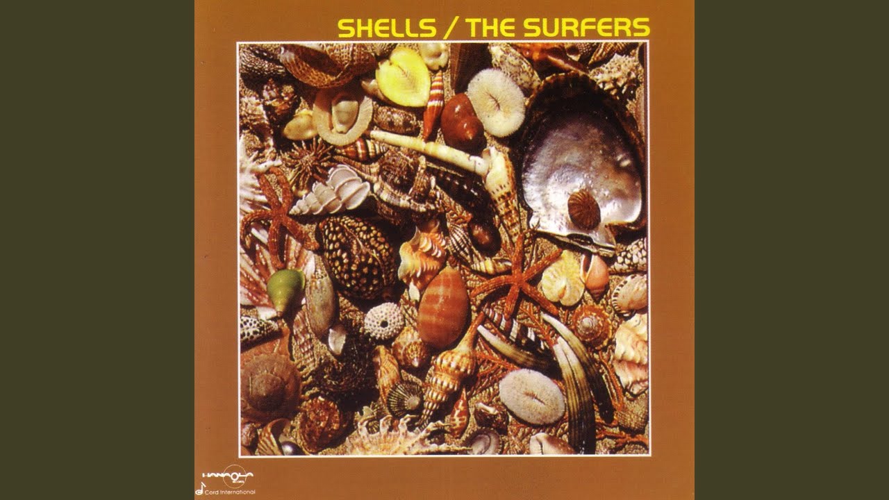 Shells