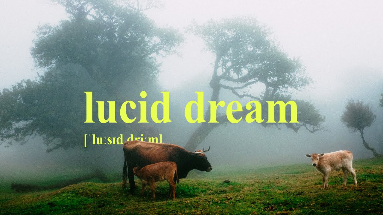 LUCID DREAM [ˈluːsɪd driːm]