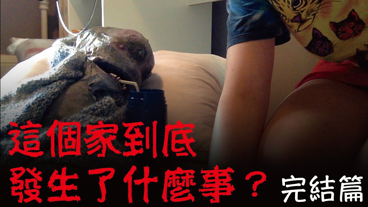 怪物寶寶Alan如何一步步成為了Daisy的惡夢——看不懂是爛作，看懂了就是神作（完結篇）