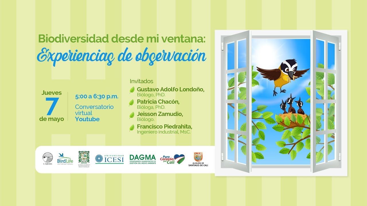 Biodiversidad desde mi ventana: Experiencias de observación
