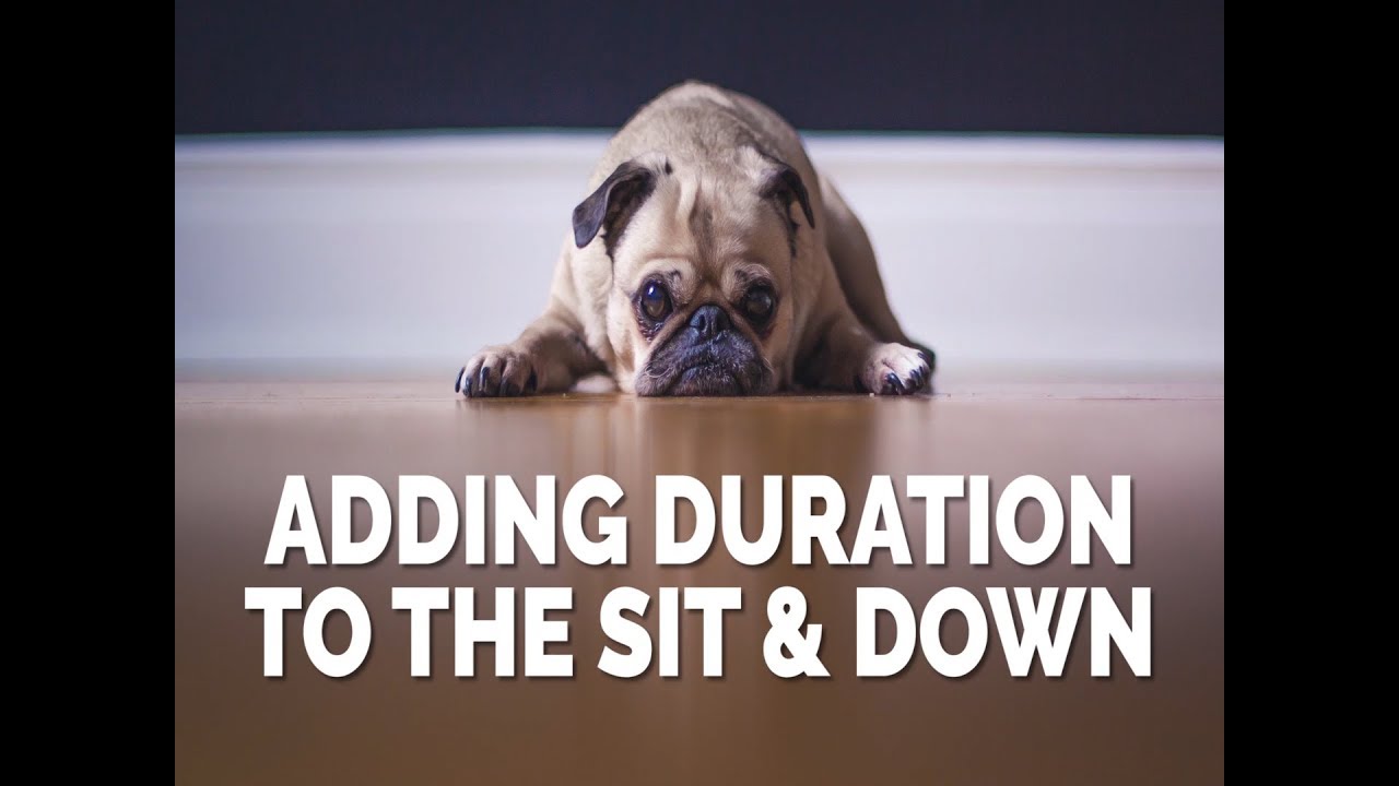 Adding Duration to the Sit and Down