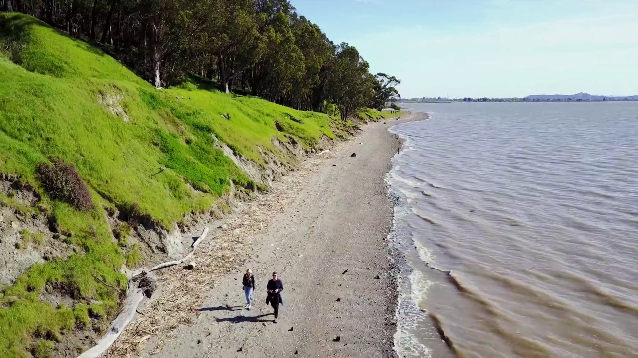 Aerial View of Pinole Point Park (Richmond, CA, USA)