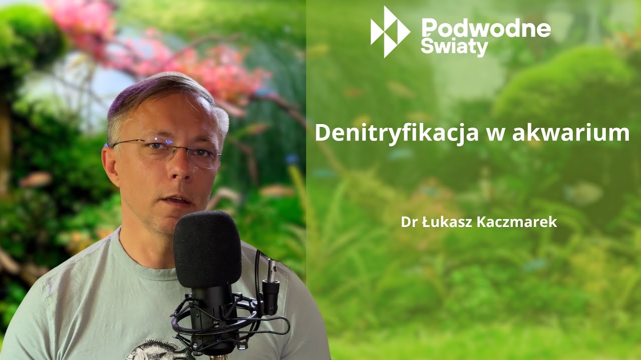 Dr Łukasz Kaczmarek. Denitryfikacja w akwarium