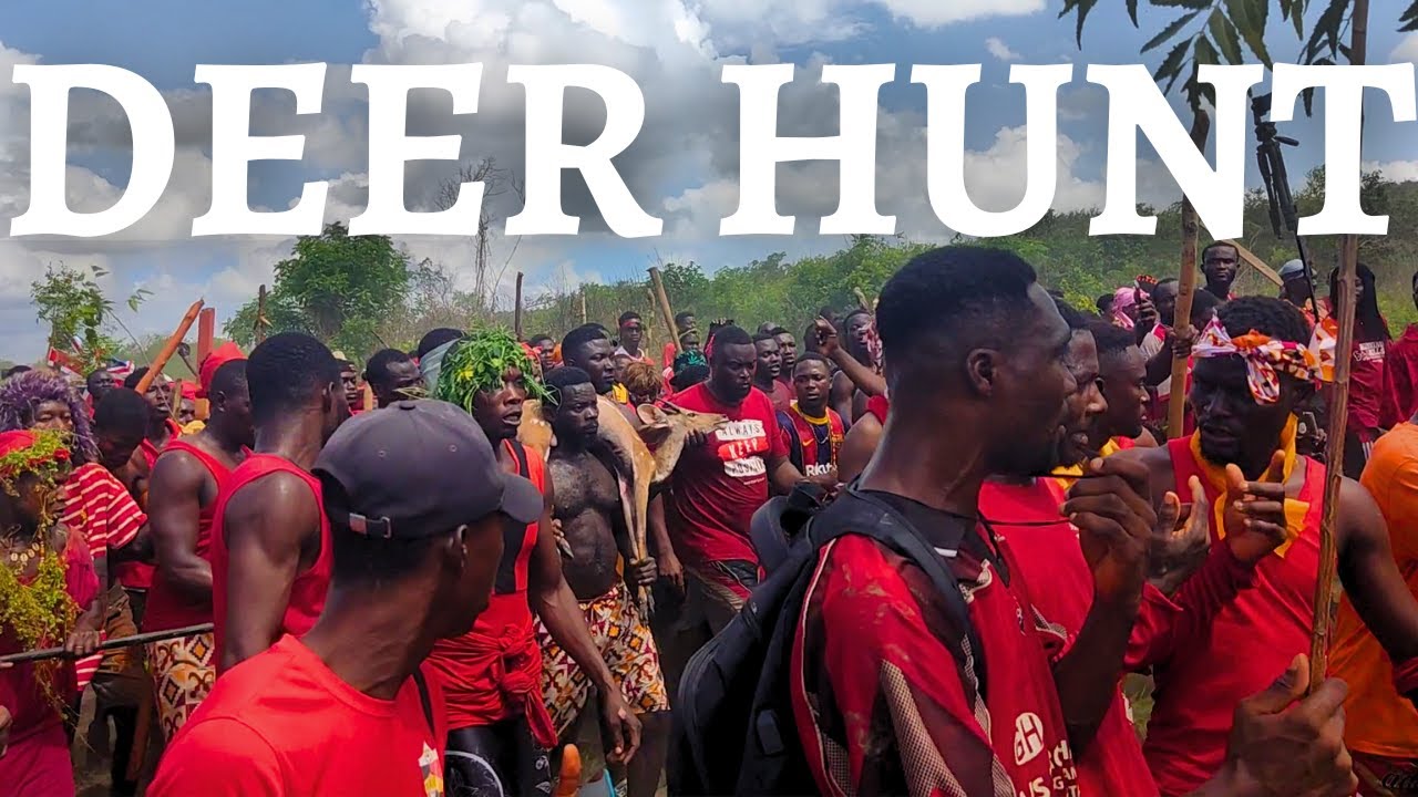 Winneba Aboakyer Festival 2023 Deer Hunt Unseen Footage From The Hunting Grounds. [Uncut]