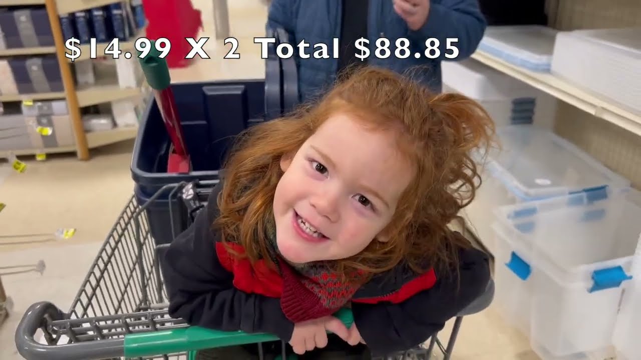 The First Costco Shopping Haul of 2025 