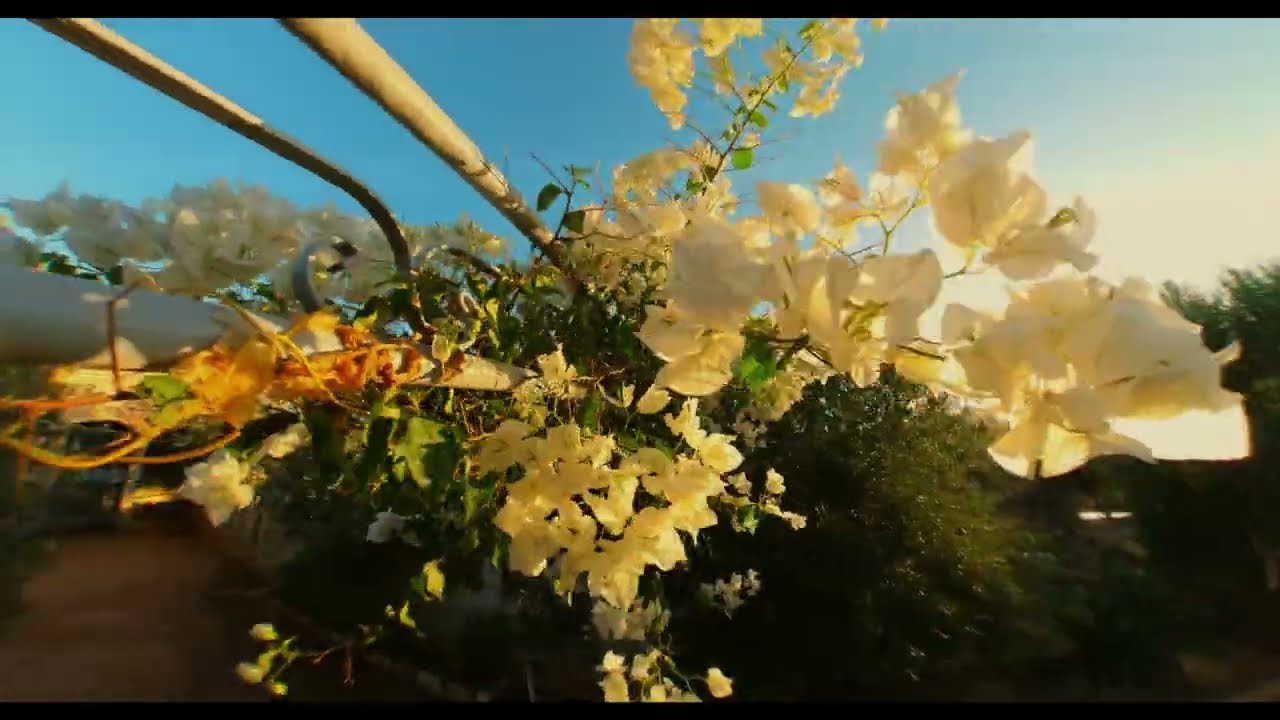[Trip - The origin 03] - Journey to Ancestral Roots, Exploring Ain Sfa