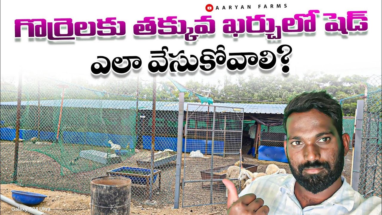 Goat and sheep shed || గొర్రెల కోసం షెడ్ ఇలా వేసుకోండి  #shed