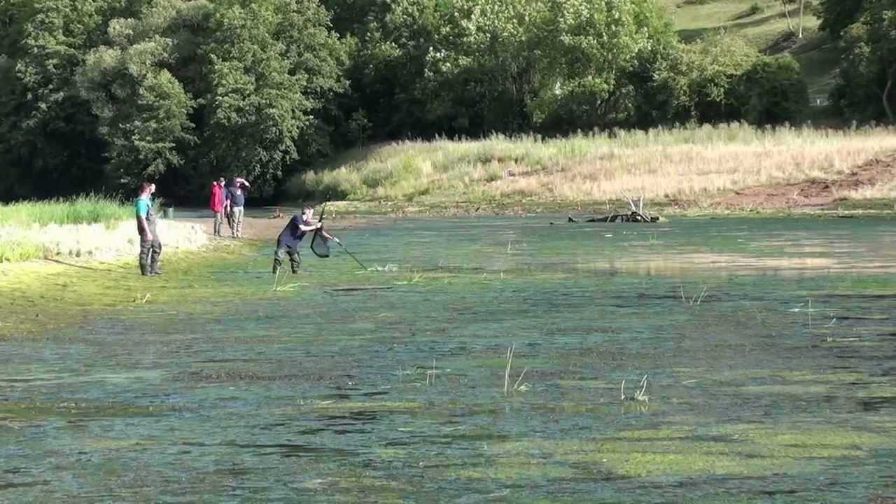 Chronik eines traurigen Tages an der Sauer in Luxemburg