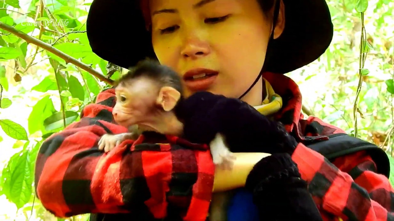 We save & bring tiny Shady to youngest mom Slim after leaving Shady stuck in vine cos