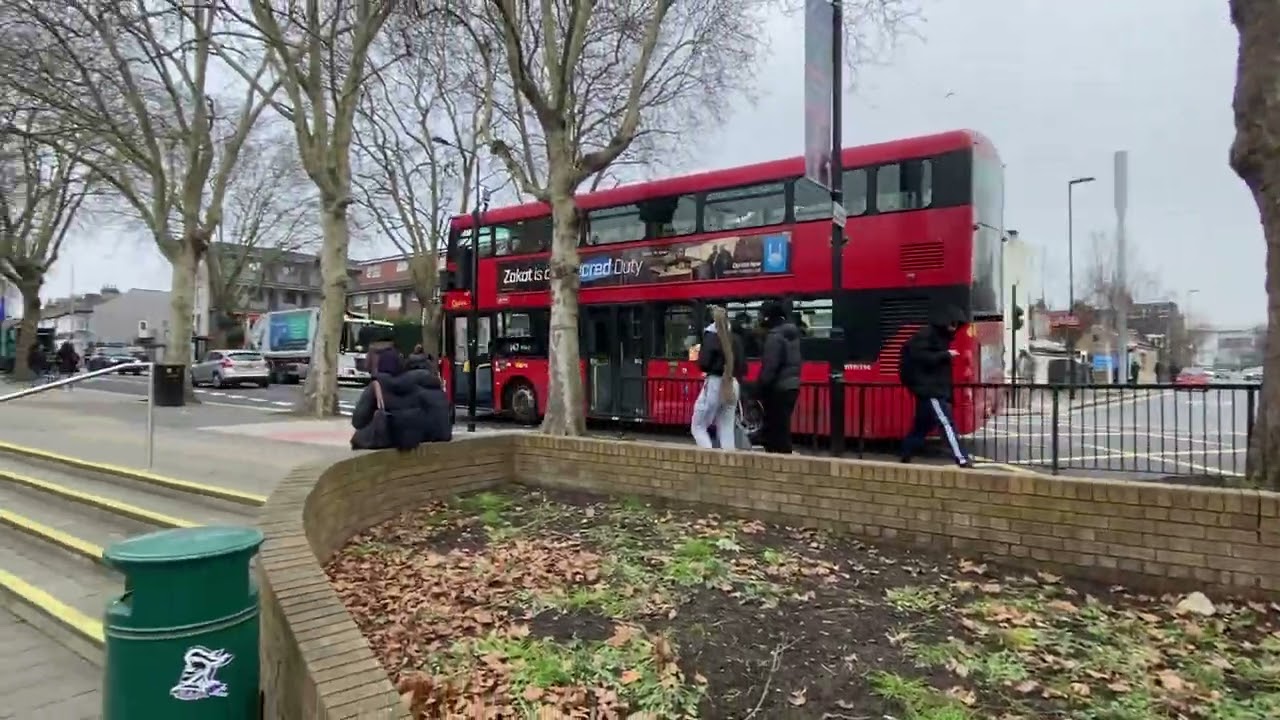 Buses at newvic 