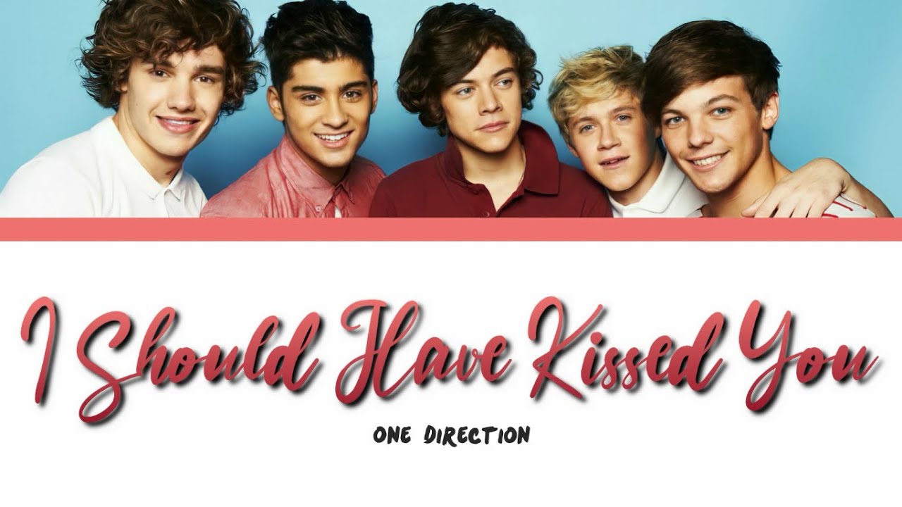 ONE DIRECTION - I SHOULD HAVE KISSED YOU lyrics (Color Coded)