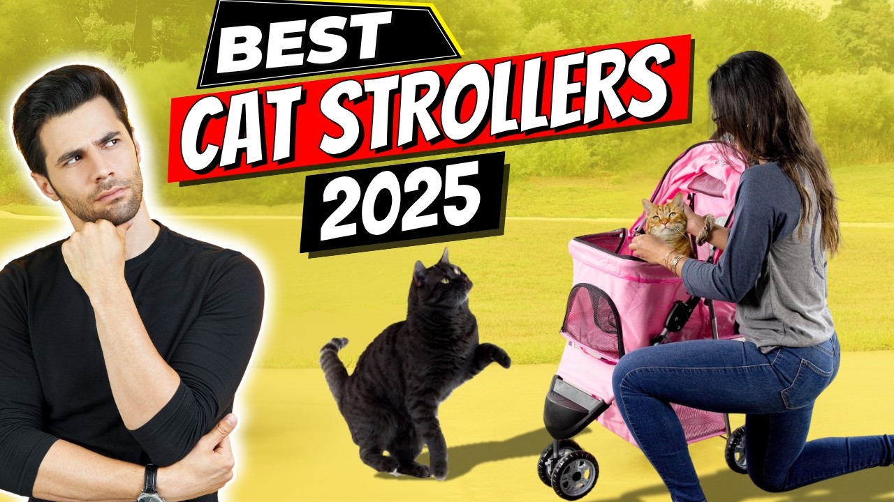 Best Cat Strollers of 2025 | Top 9 Cat Strollers in 2025 You Didn't Know You Needed!