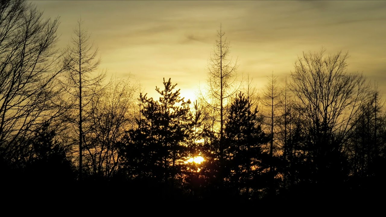 Waiting for Winter to End (Ambient Mix)