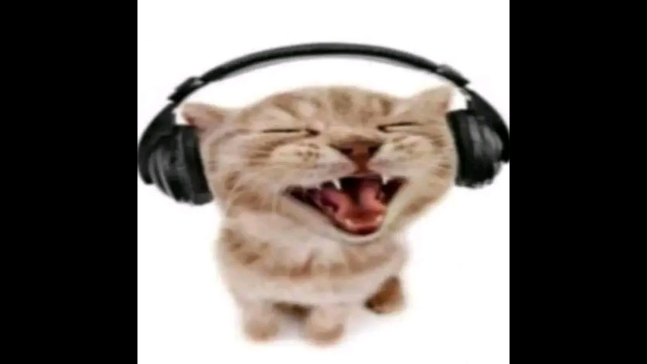 Lungskull - smile music 2