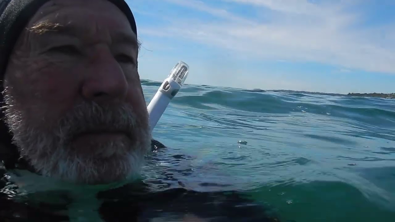 Malibu Road shore Dive Feb 2026