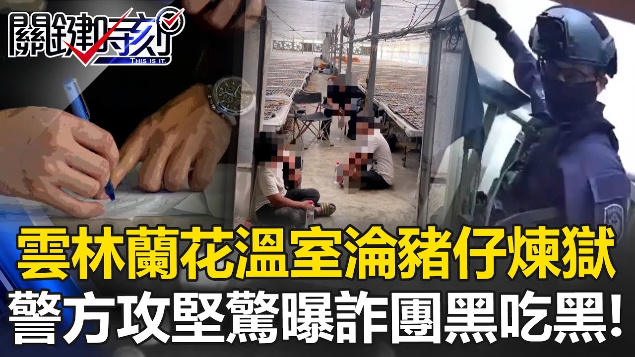 雲林蘭花溫室淪「豬仔煉獄」！警方荷槍實彈攻堅驚曝「詐團黑吃黑」！？【關鍵時刻】20251118-3 張炤和 吳政峰