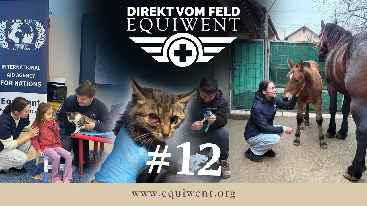 Equiwent - Direkt vom Feld #12 - 1.000 Kinder. 1 Geschenk. 1 Chance. ❤️