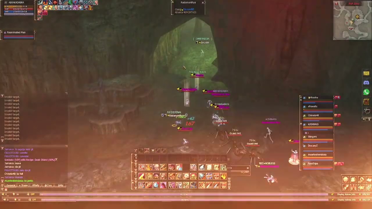 L2 Lion - Lineage II PvP BreaveHeart+DeusesBR vs HavaianaDePau