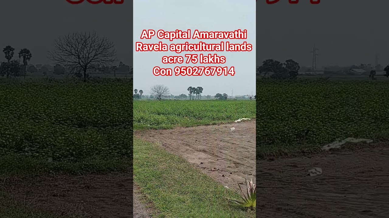 AP capital Amaravathi Ravela agricultural lands or polalu sale con 9502767914 